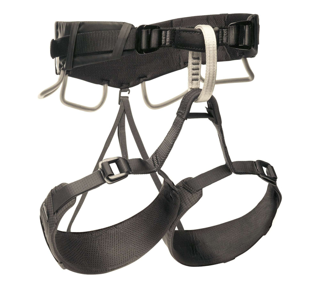 Momentum 4S Harness - Anthracite - Blogside