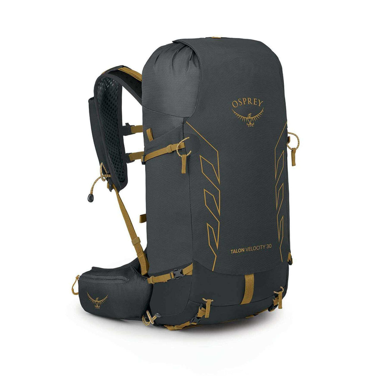 Talon Velocity 30 durable and lightweight trekking backpack