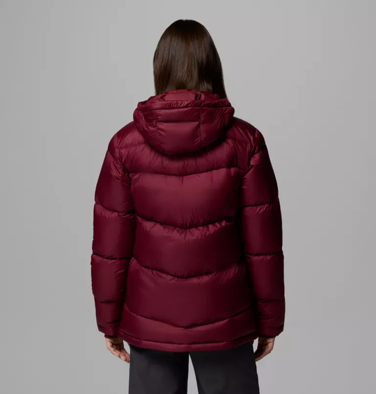 Cloudview™ Down Hooded Jacket