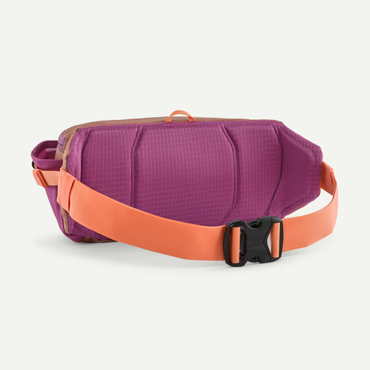 Black Hole Waist Pack 5L