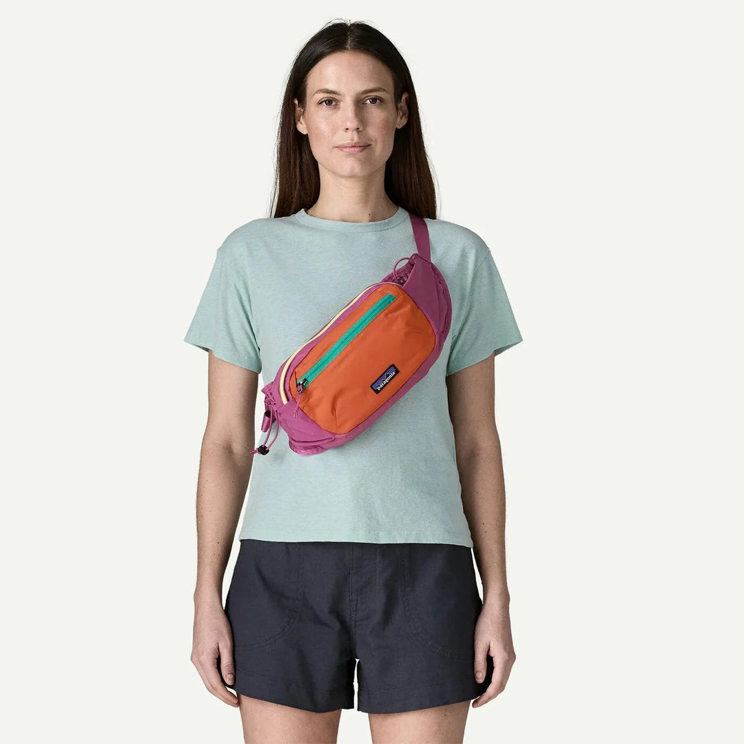 Terravia Hip Pack