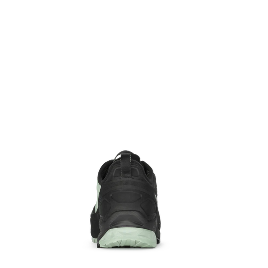 Rock Dfs Gtx W's - Bshop