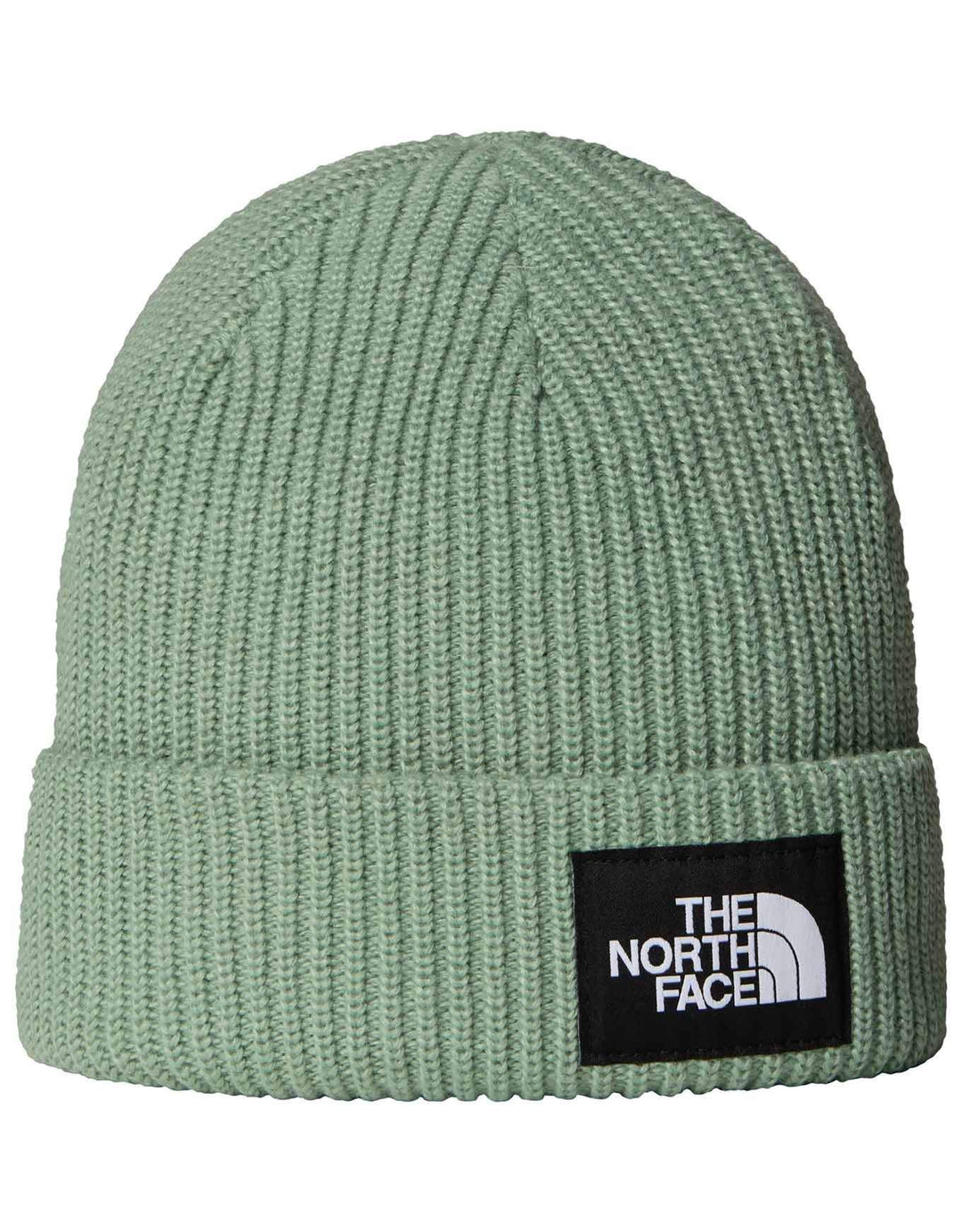 Salty Lined Beanie