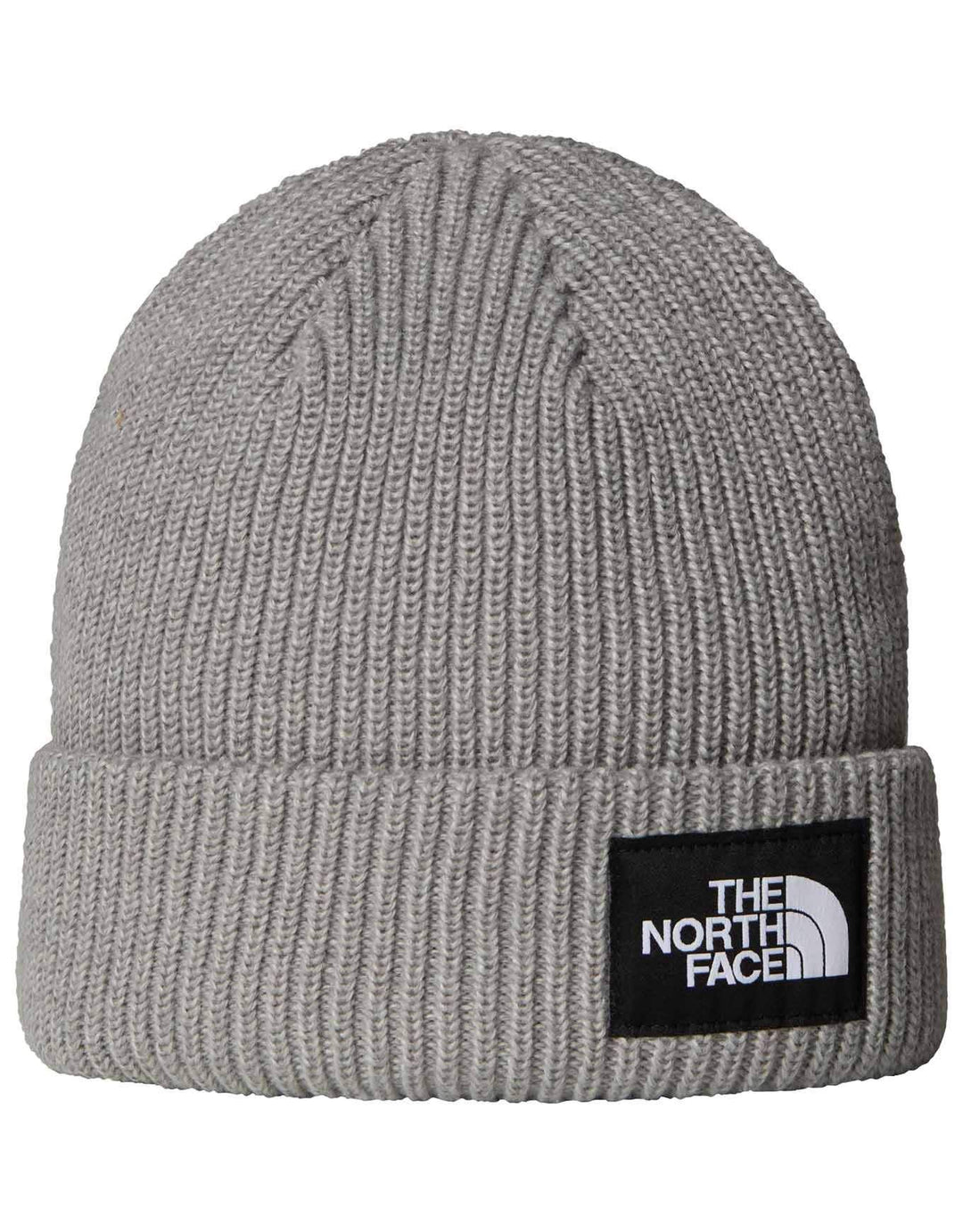 Salty Lined Beanie