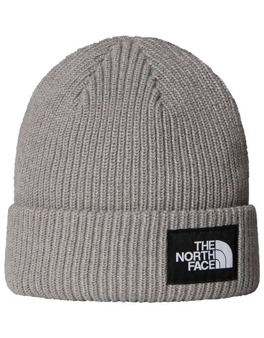 Salty Lined Beanie