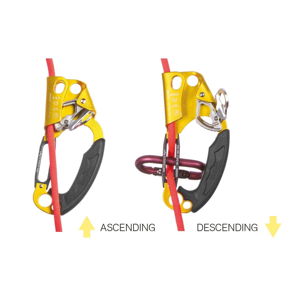 A&D Ascender Descender - Bshop