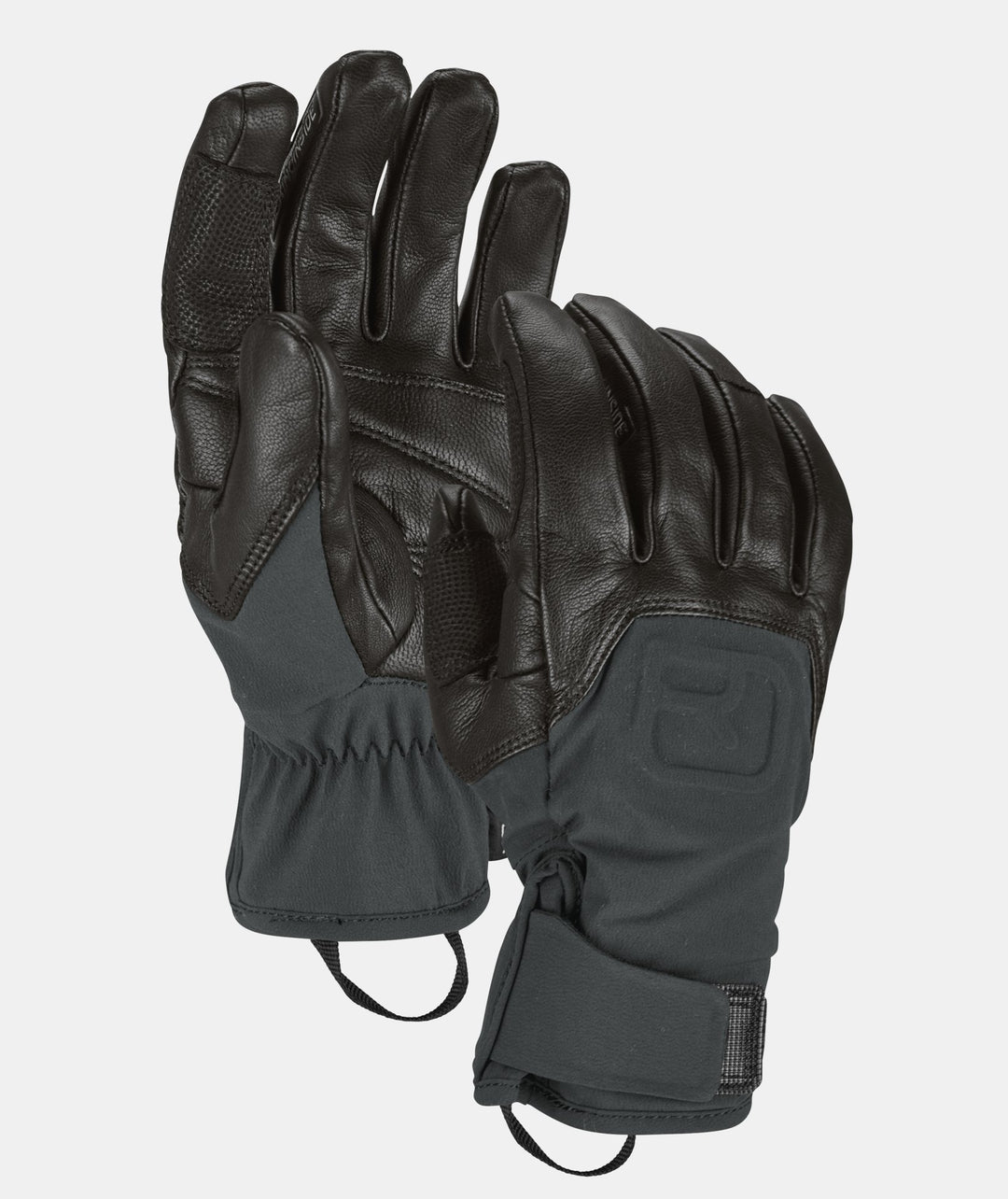 Alpine Pro Glove - Black Raven - Blogside