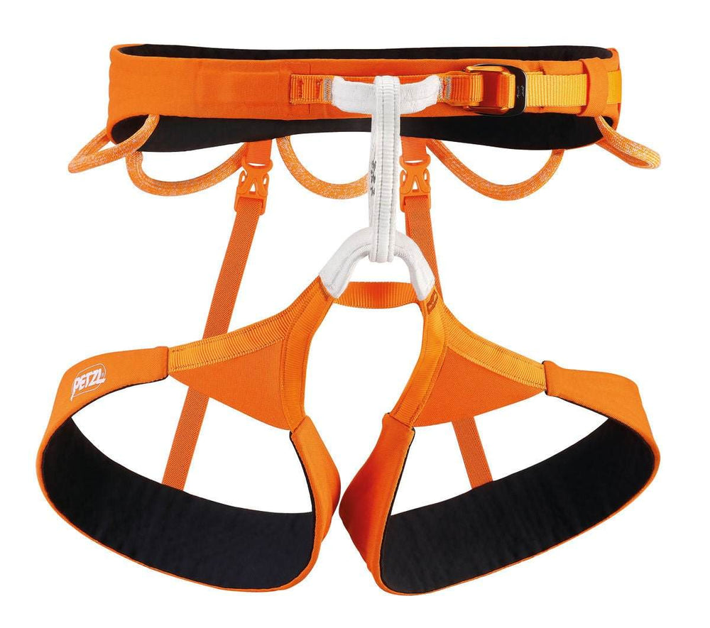 Hirundos Harness - Bshop