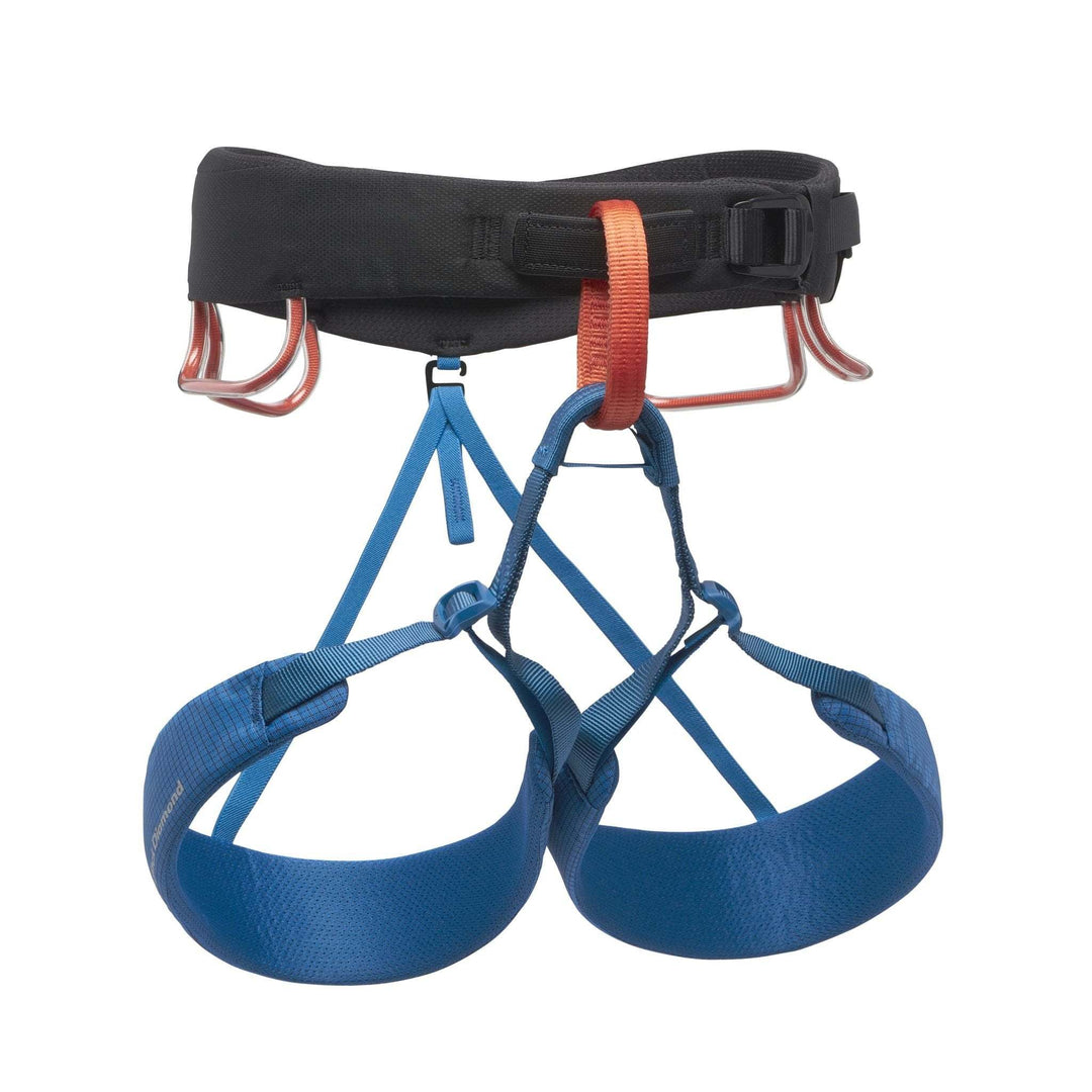 M Momentum Harness - Bshop