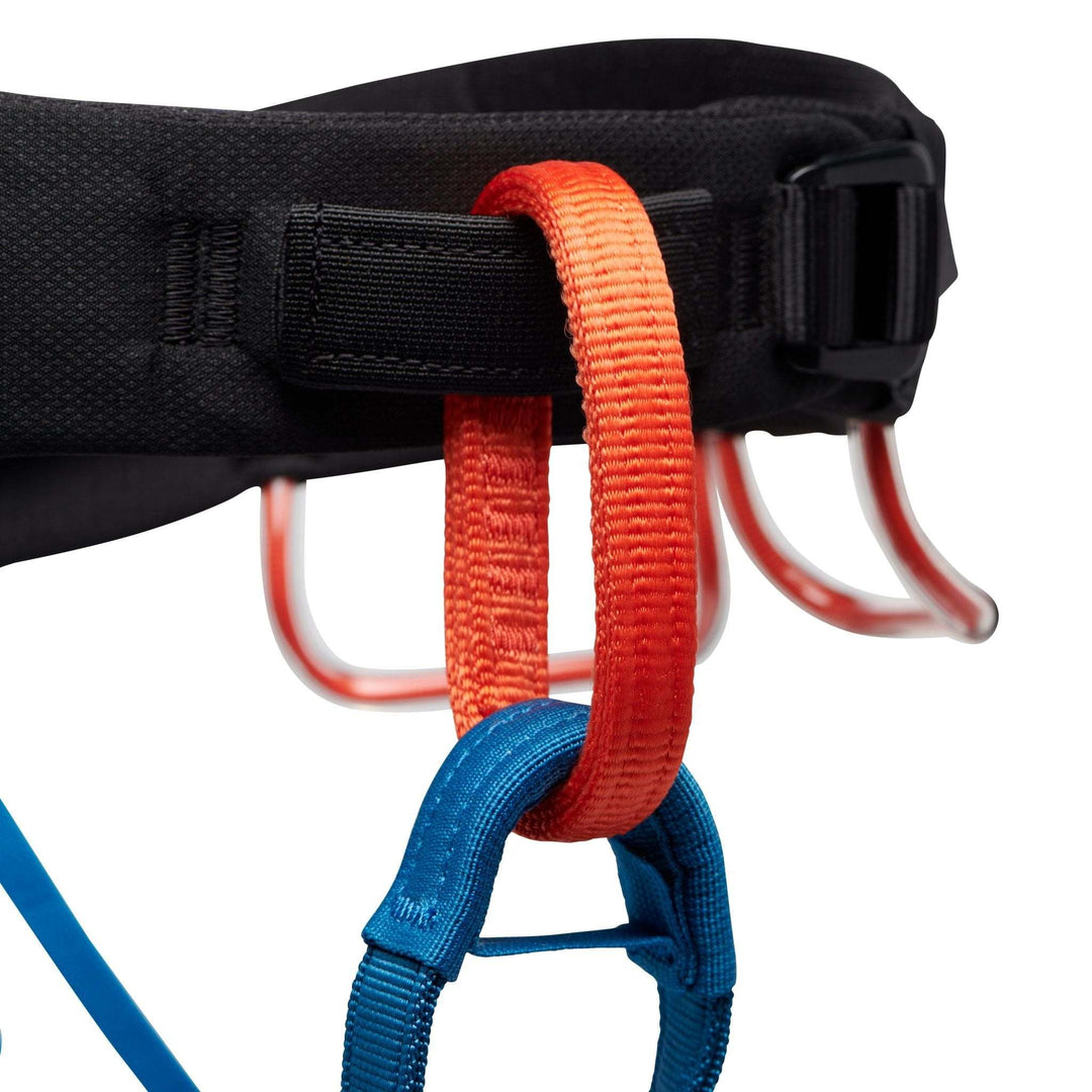 M Momentum Harness - Kingfisher - Blogside