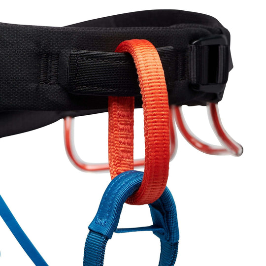M Momentum Harness - Bshop
