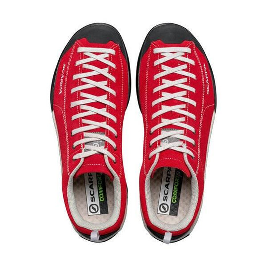 Mojito Tomato - Bshop