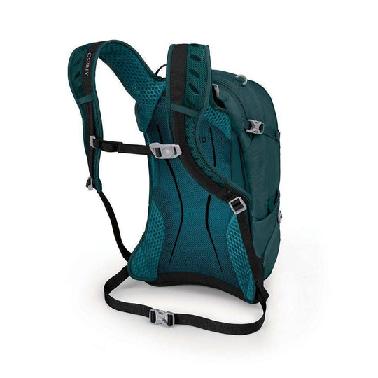 Sylva 12 - Bshop