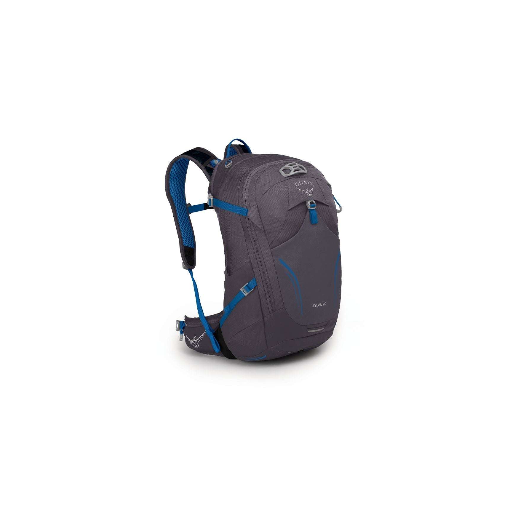 Sylva 20 - Bshop