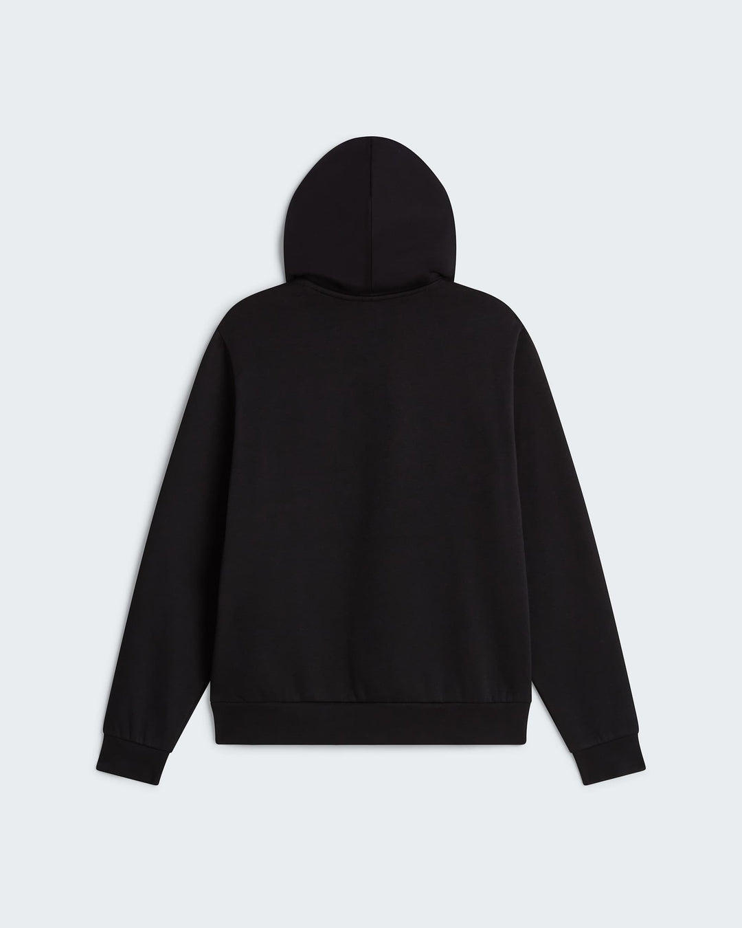 The North Face W Evolution Simple Dome Regular Hoodie - TNF Black - back product packshot