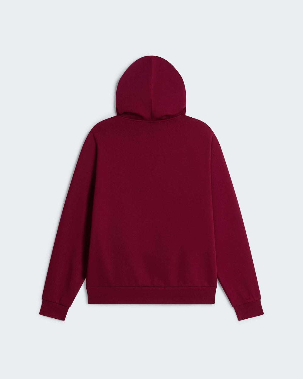The North Face W Evolution Simple Dome Regular Hoodie - Burgundy Crush - back product packshot