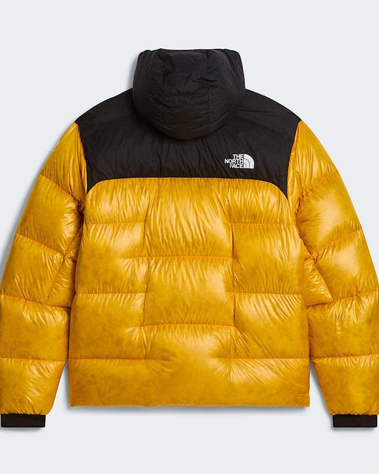 The North Face M Summit Nuptse Jacket NF0A8H3DZU3-ALT31