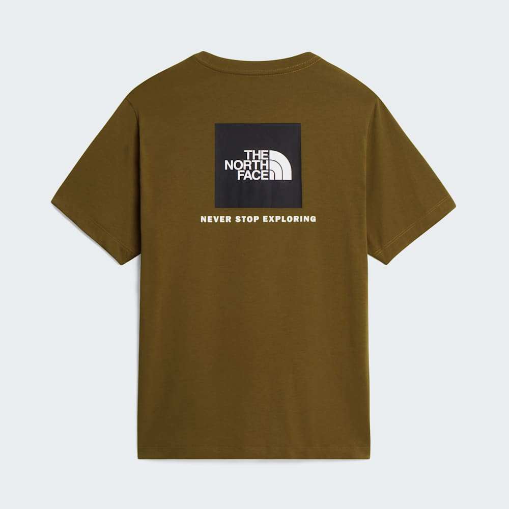 The North Face M Evolution Box Nse Regular Short Sleeve Caraway Seed ALT31