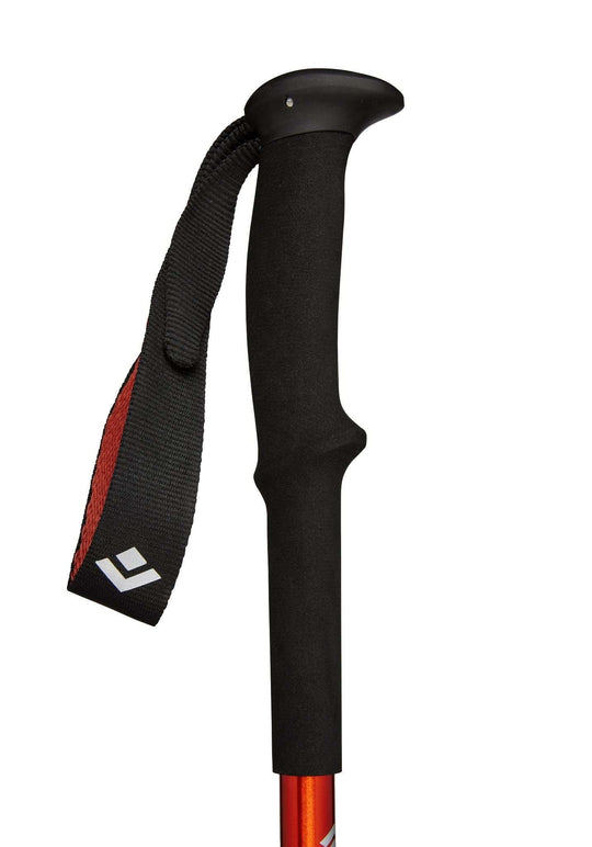 Trail Back Trekking Poles - Blogside