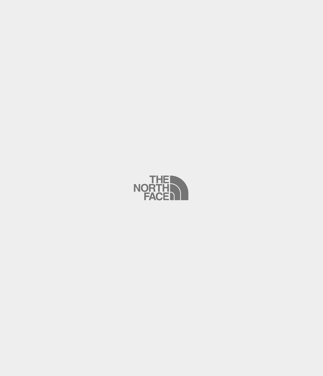 The North Face W Evolution Simple Dome Regular Hoodie