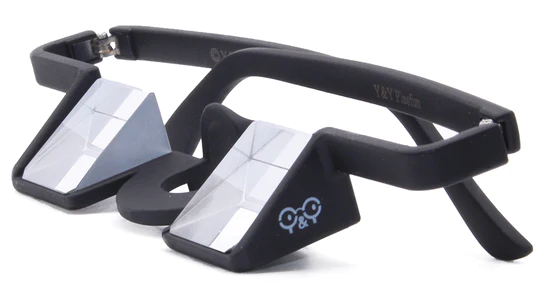 Plasfun Evo prism glasses with black frames.